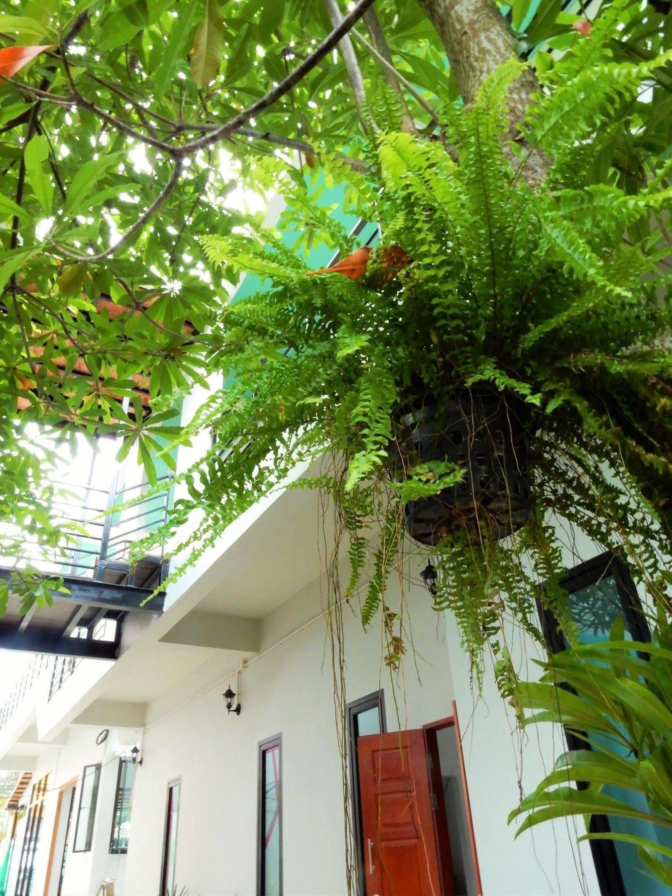 Wandee Bed & Breakfast Khao Lak Exterior foto